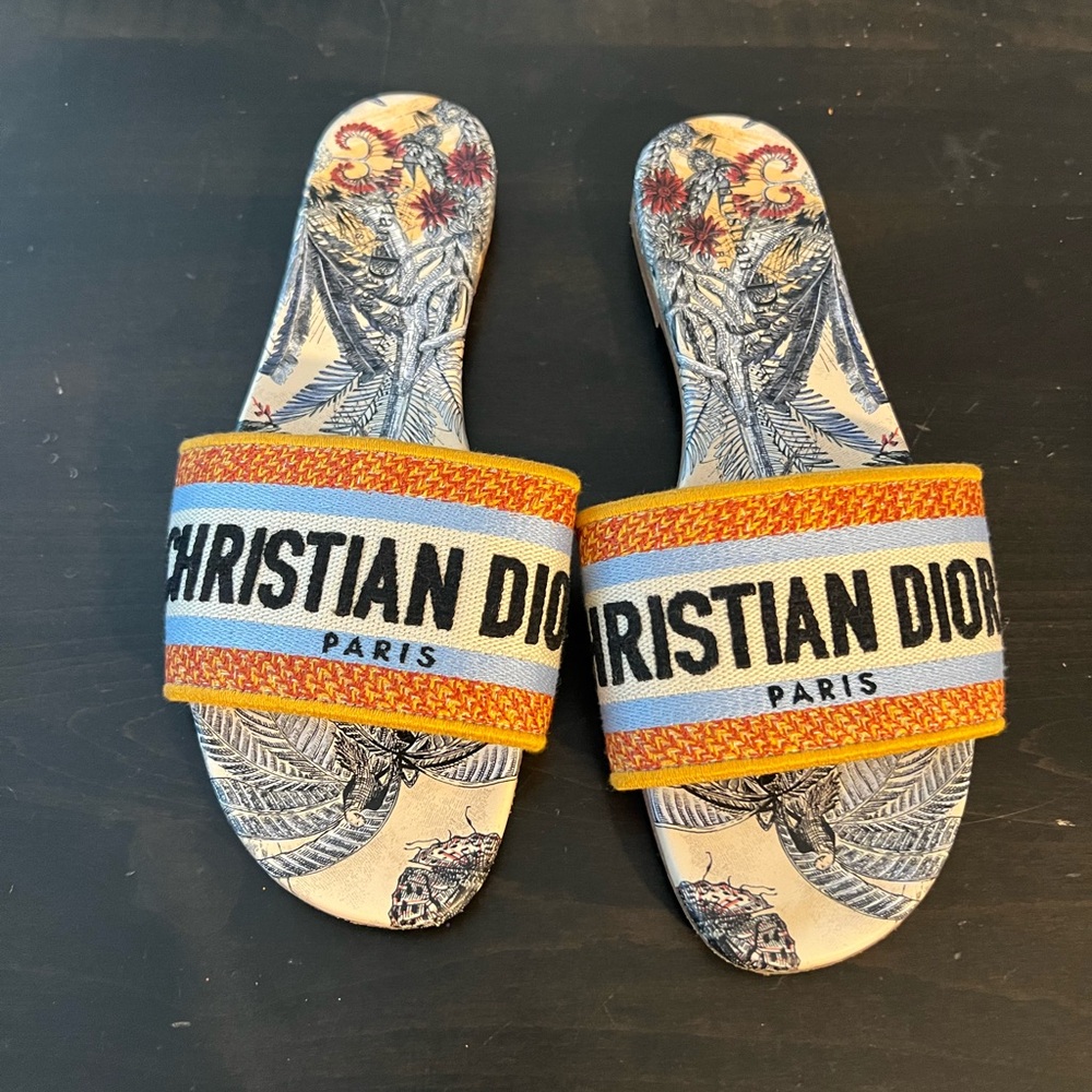 Dior Multicolor Slide Sandals
